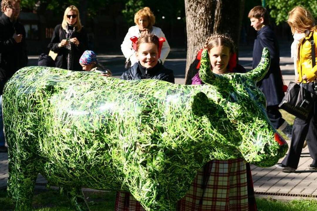Palangos gatvėmis riedėjo spalvinga karvė