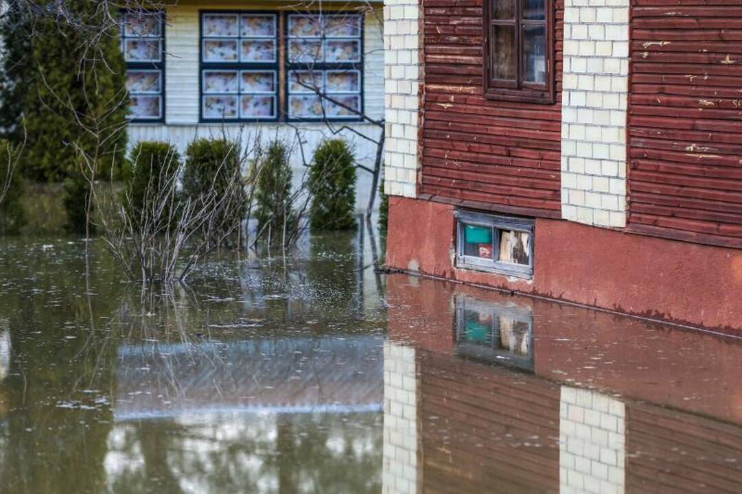 Pralaužęs pylimą Kauno rajone Nevėžis užliejo sodybas