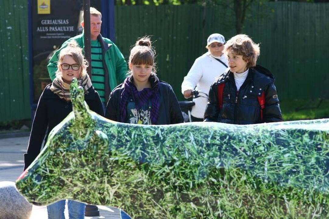 Palangos gatvėmis riedėjo spalvinga karvė