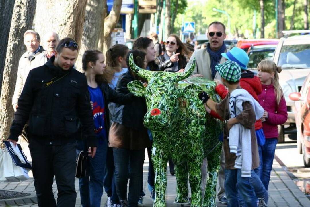 Palangos gatvėmis riedėjo spalvinga karvė