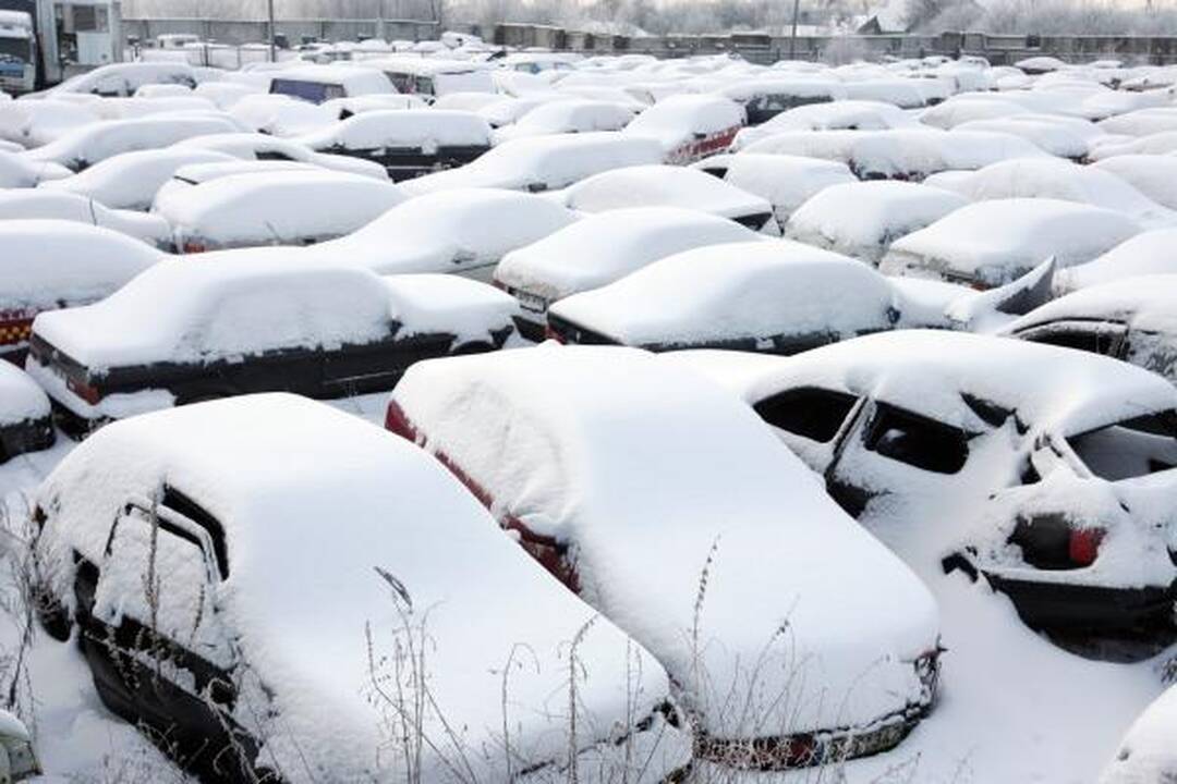 Sulaikyti automobiliai atgaline data parduodami neegzistuojantiems asmenims