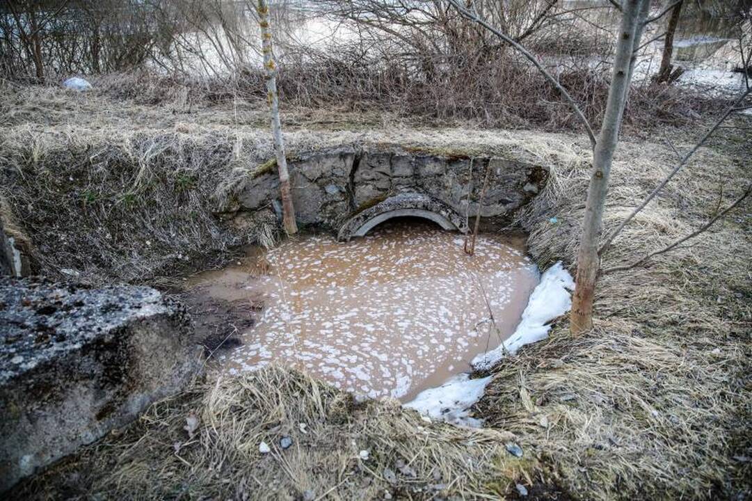 Pralaužęs pylimą Kauno rajone Nevėžis užliejo sodybas