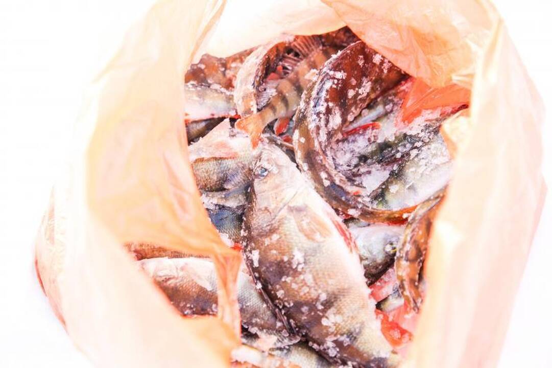 Ant Lampėdžių ežero ledo žvejai nepaiso pavojaus