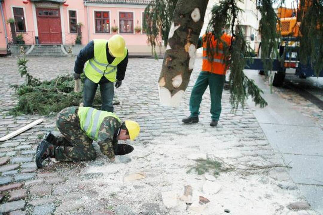 Klaipėdoje jau pastatyta Kalėdinė eglė