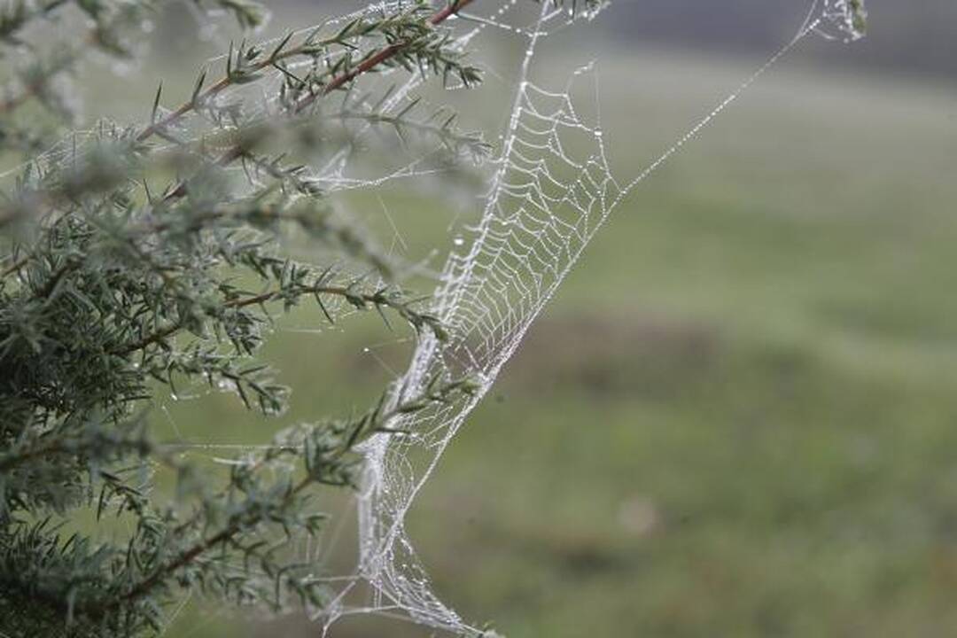 Vilniečiai kviečiami į seminarą apie rudens šventes ir senovines tradicijas