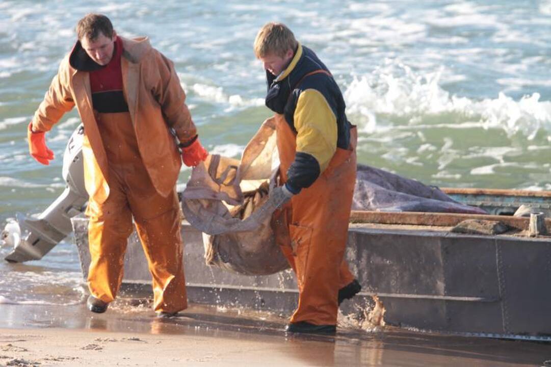 Ties Juodkrante - masinės globaliai nykstančių paukščių žudynės