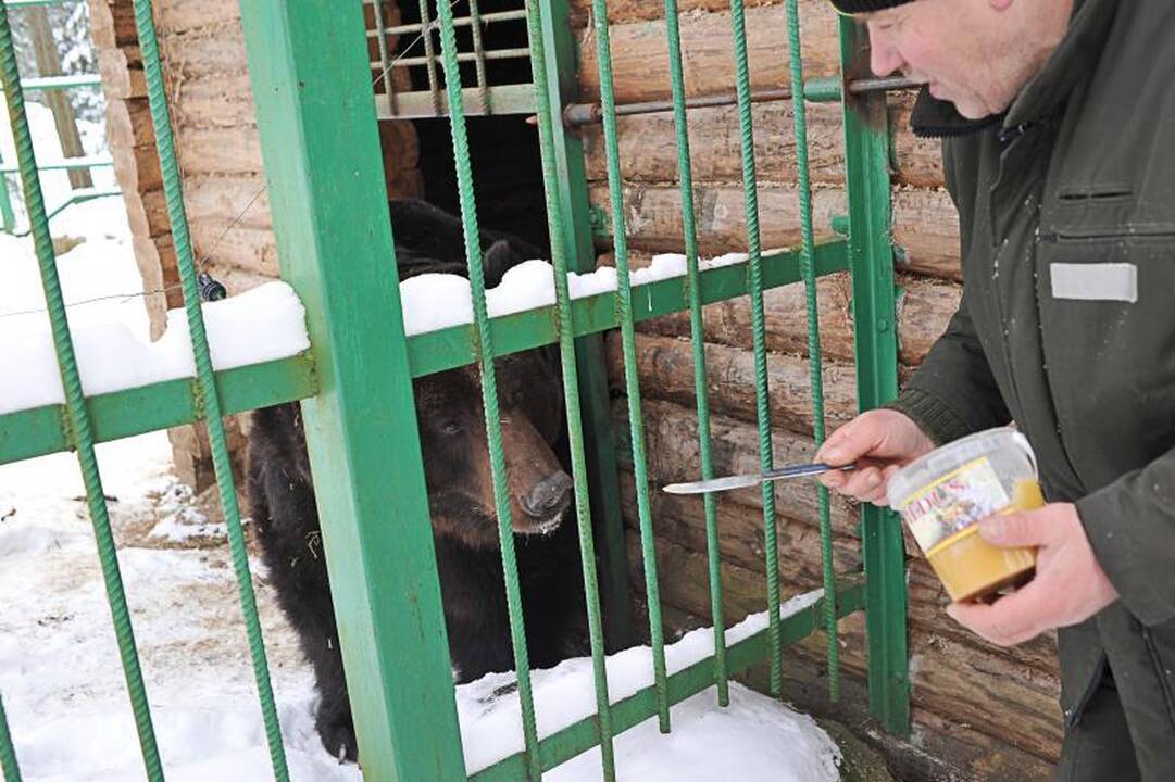 Lenkijoje minint nepriklausomybės dieną – riaušės ir šimtas suimtųjų