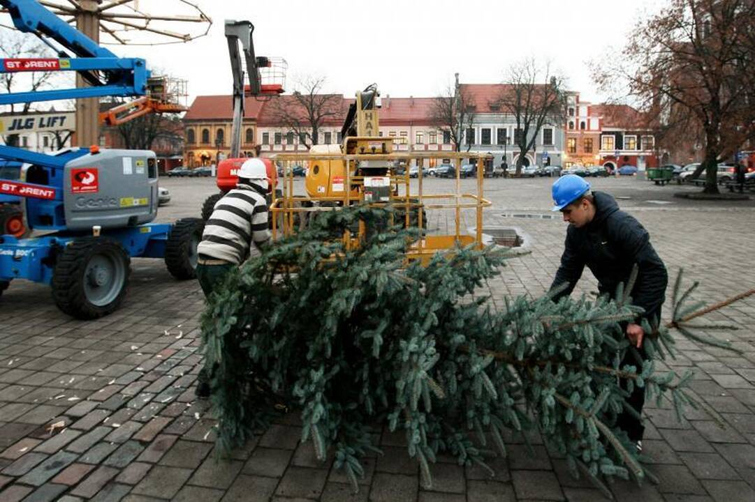 Rotušės aikštėje ryškėja auksinės Kalėdų eglės kontūrai
