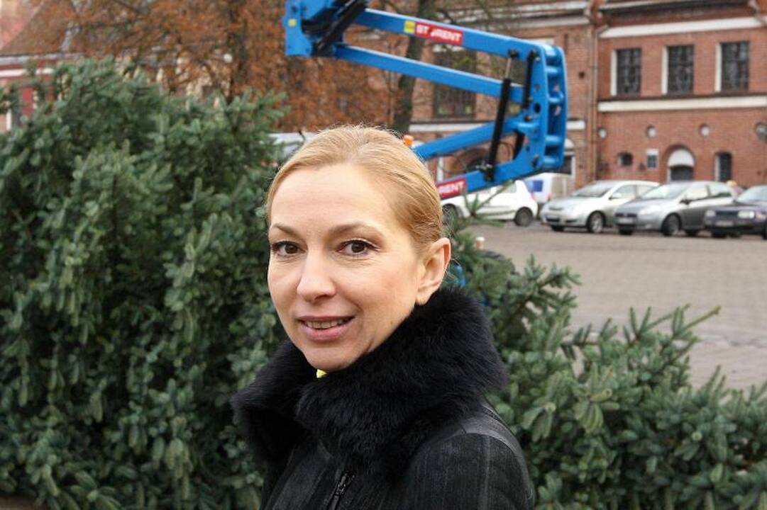 Rotušės aikštėje ryškėja auksinės Kalėdų eglės kontūrai