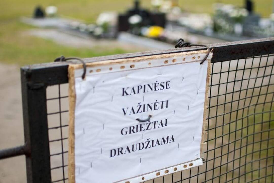 Kelias į Ledos kapines – klaidus ir duobėtas