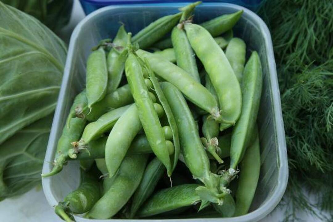 Suklestėjo nelegalūs turgeliai (papildyta)