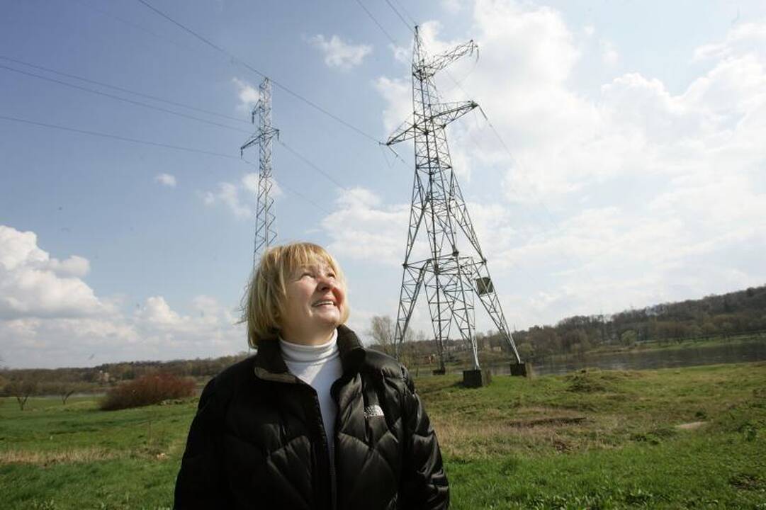 Kaune  –  mirtini   spąstai   gulbėms   