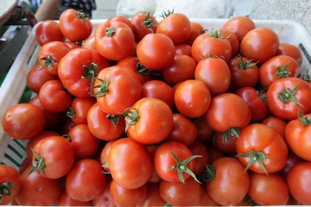 Suklestėjo nelegalūs turgeliai (papildyta)