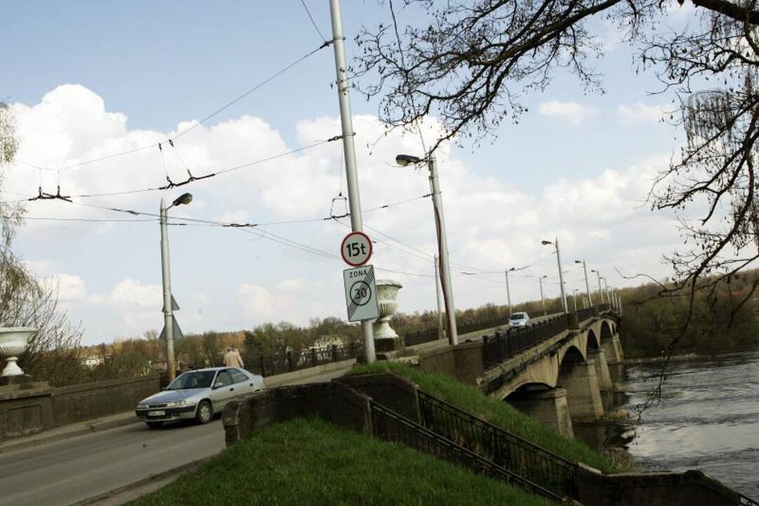 Kaune  –  mirtini   spąstai   gulbėms   