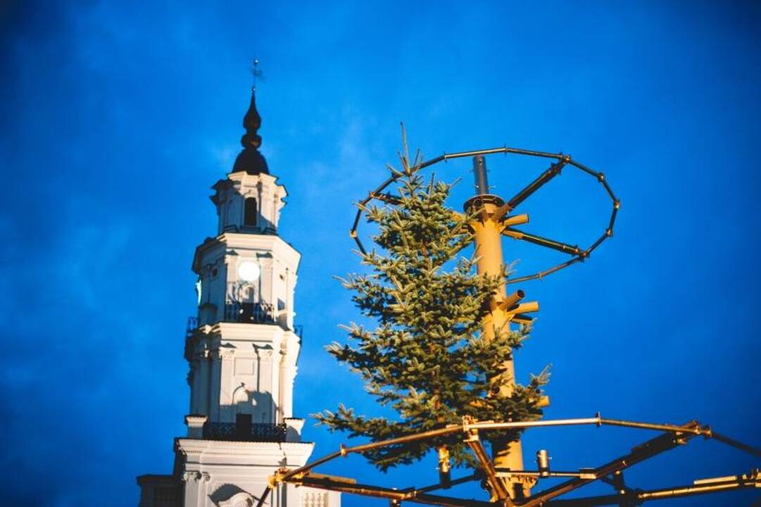 Rotušės aikštėje ryškėja auksinės Kalėdų eglės kontūrai