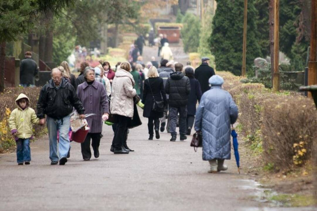 Kelias į Ledos kapines – klaidus ir duobėtas
