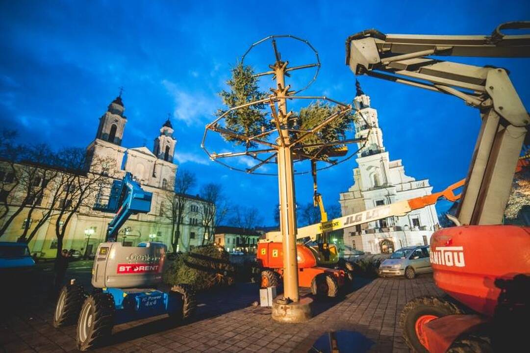 Rotušės aikštėje ryškėja auksinės Kalėdų eglės kontūrai