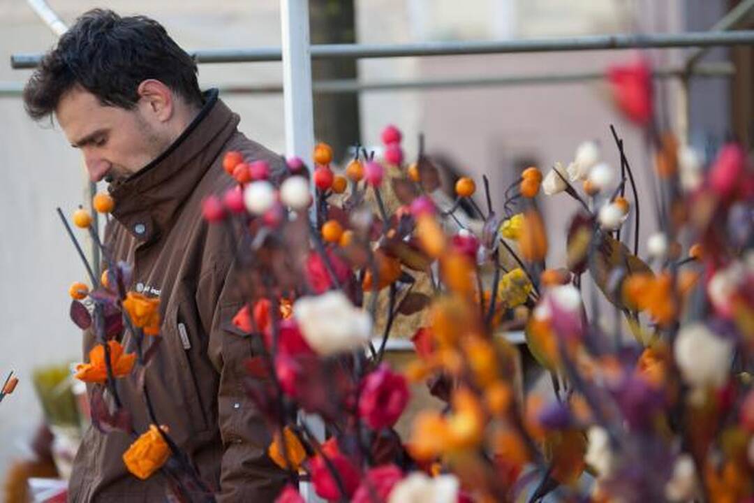 Lietuvoje švenčiama Europos diena