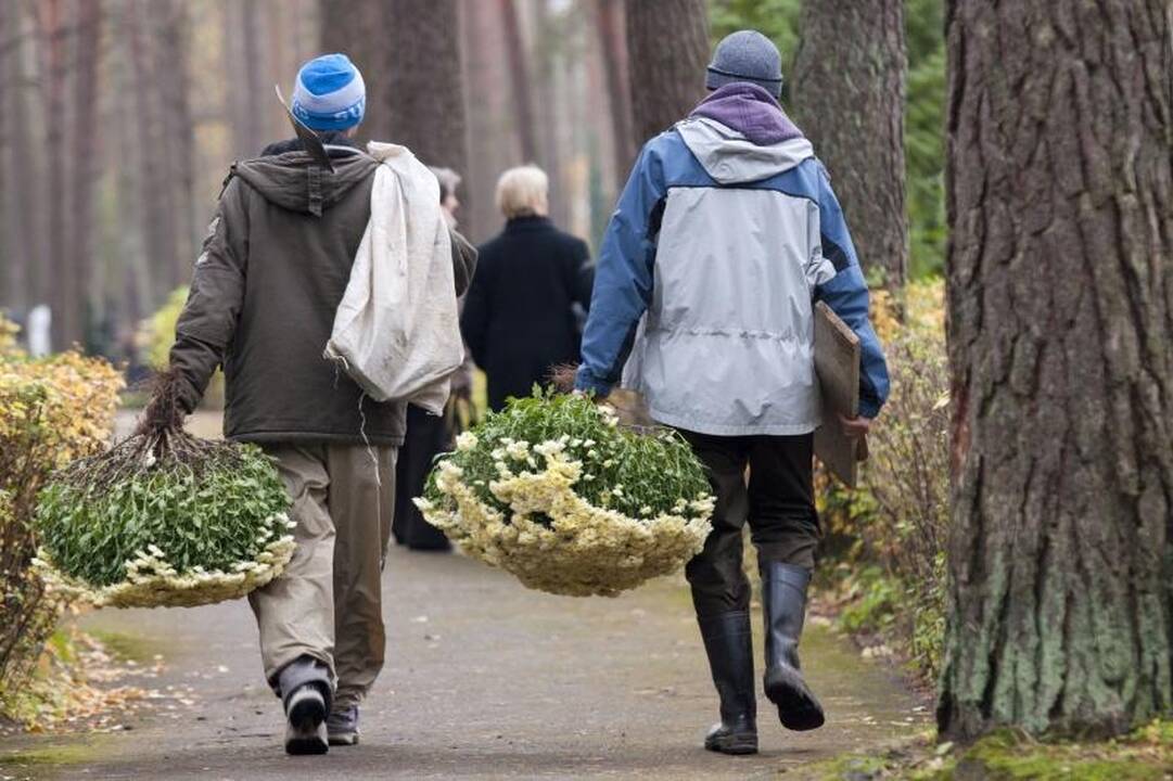 Kelias į Ledos kapines – klaidus ir duobėtas