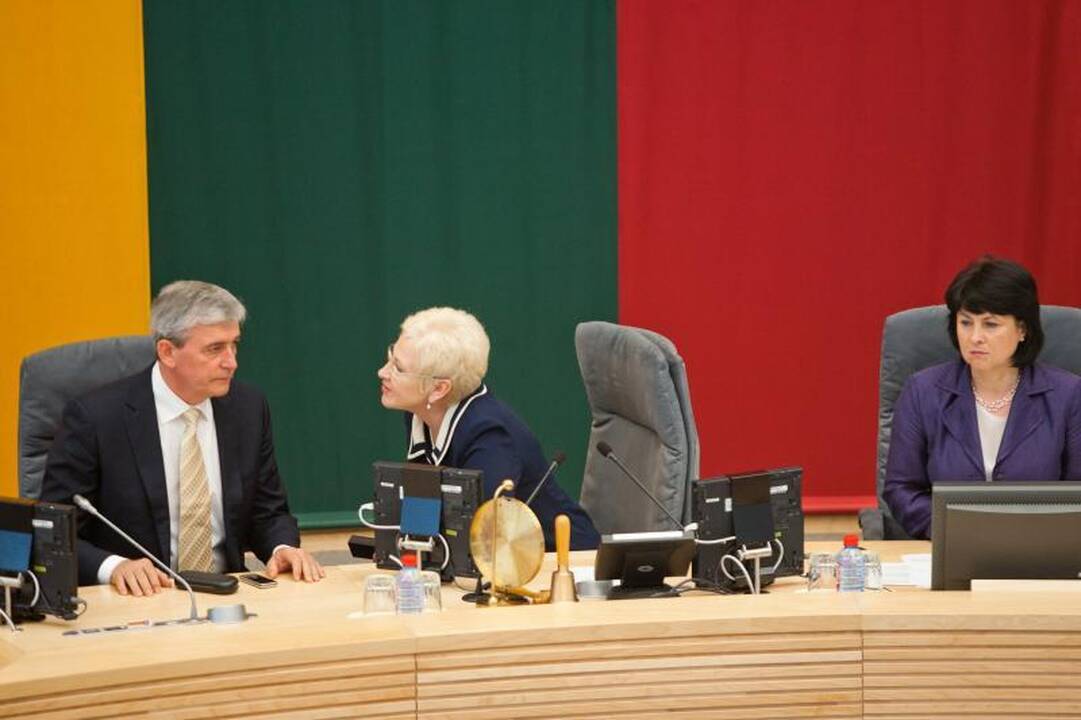 M.Adomėnas: balsavusieji „už“ referendumą dėl AE išdavė tėvynę