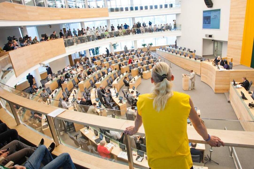 M.Adomėnas: balsavusieji „už“ referendumą dėl AE išdavė tėvynę