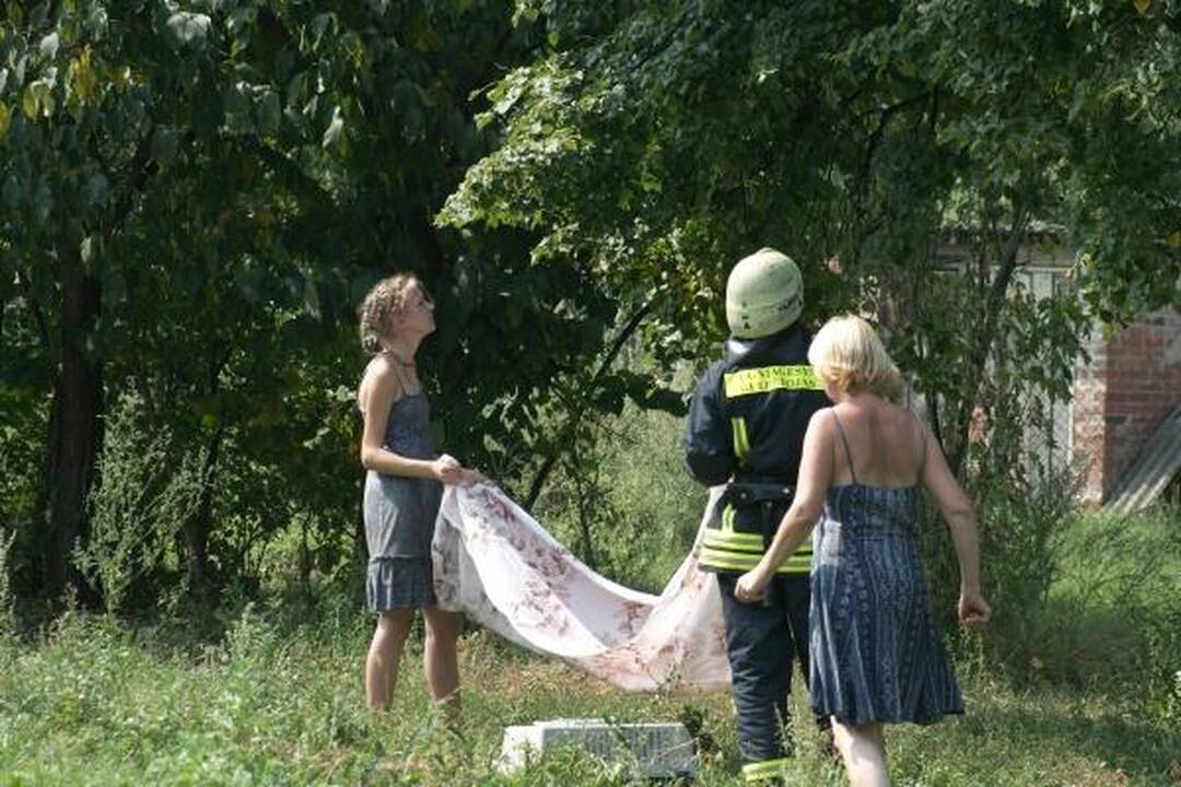 Šunų prieglaudoje – katės gelbėjimo operacija