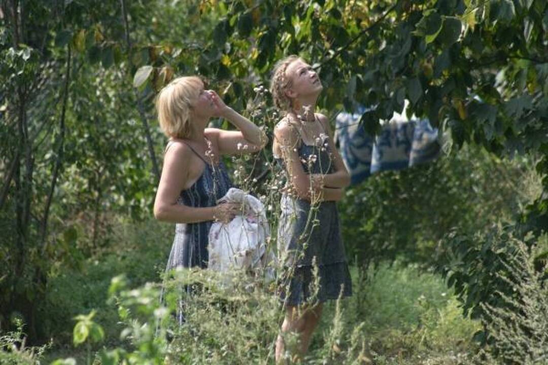 Šunų prieglaudoje – katės gelbėjimo operacija
