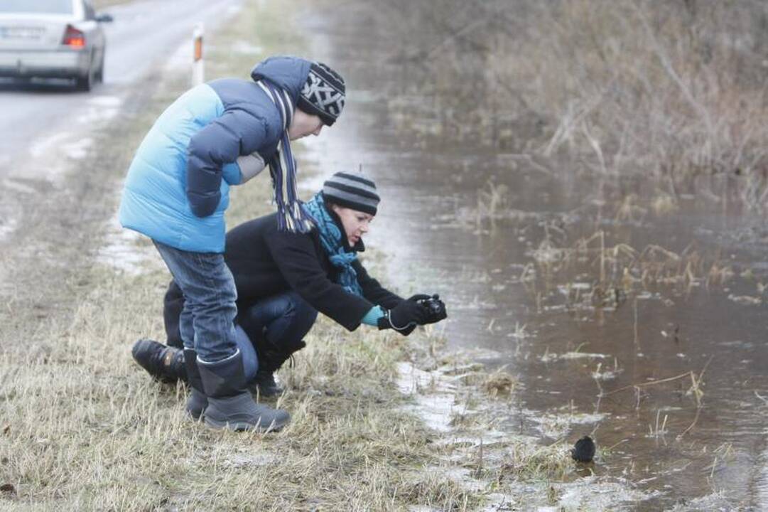 Potvynio zonoje savaitgalį gelbėjimo darbų vykdyti neteko