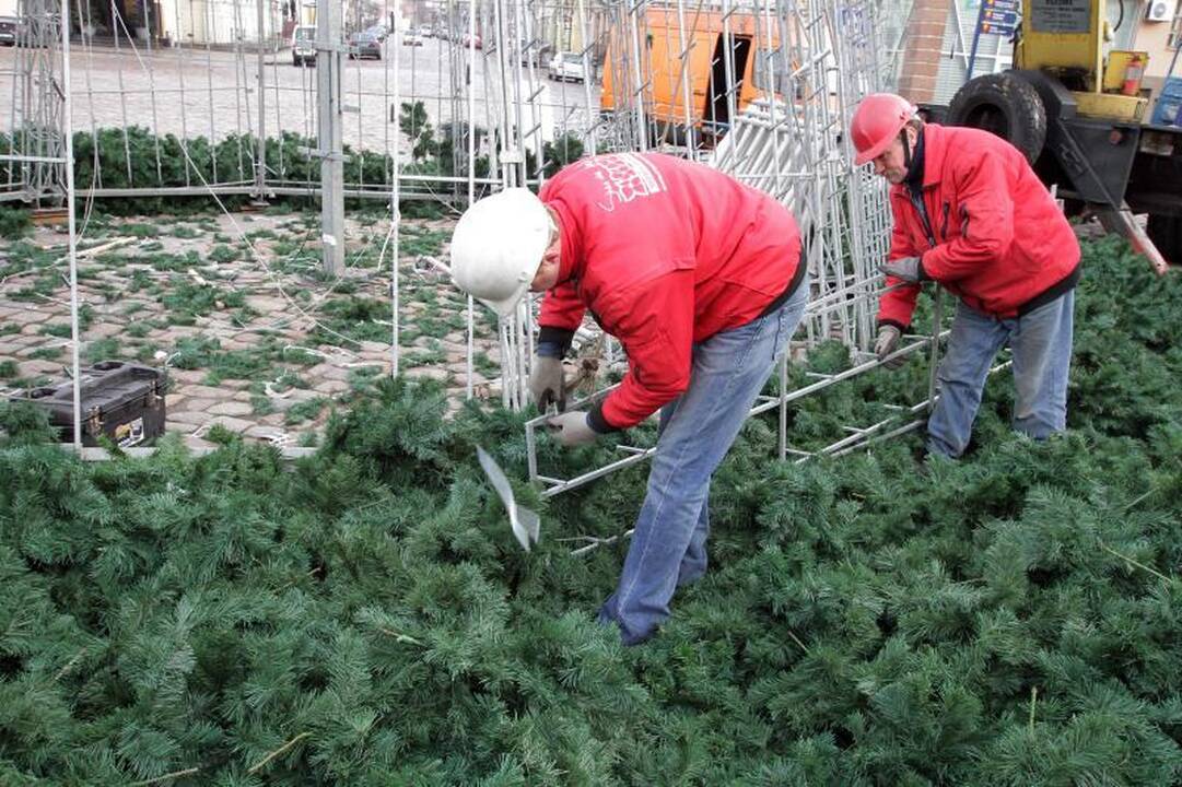 Klaipėdoje nupuošiama miesto kalėdinė eglė 