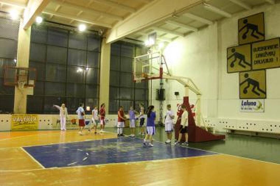 Savivaldybė: sporto įstaigos neliks be paramos
