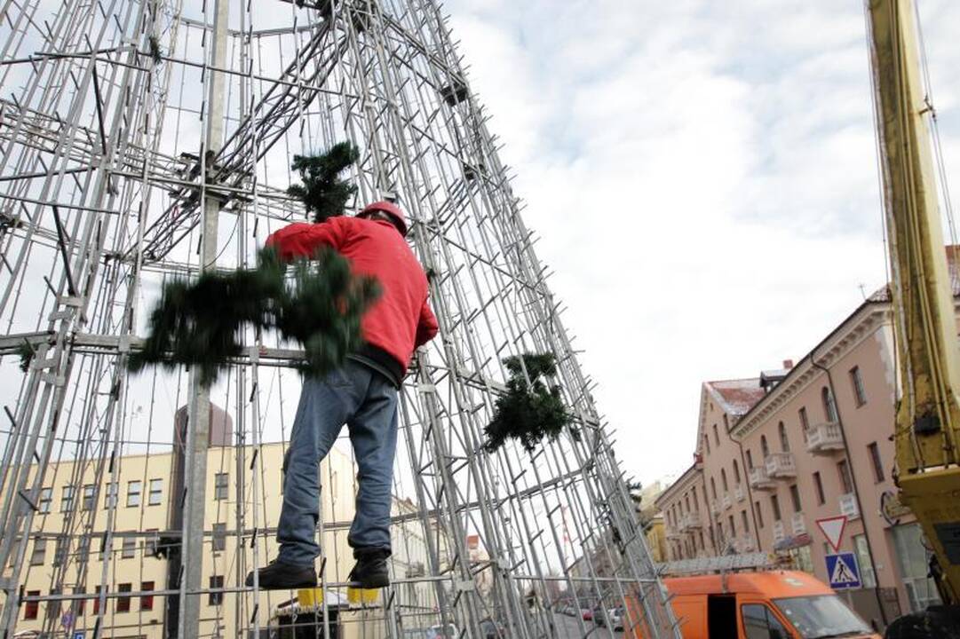 Klaipėdoje nupuošiama miesto kalėdinė eglė 