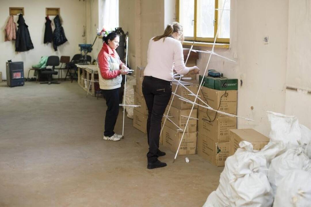 Auksinę Kalėdų eglę papuoš du kilometrai girliandų