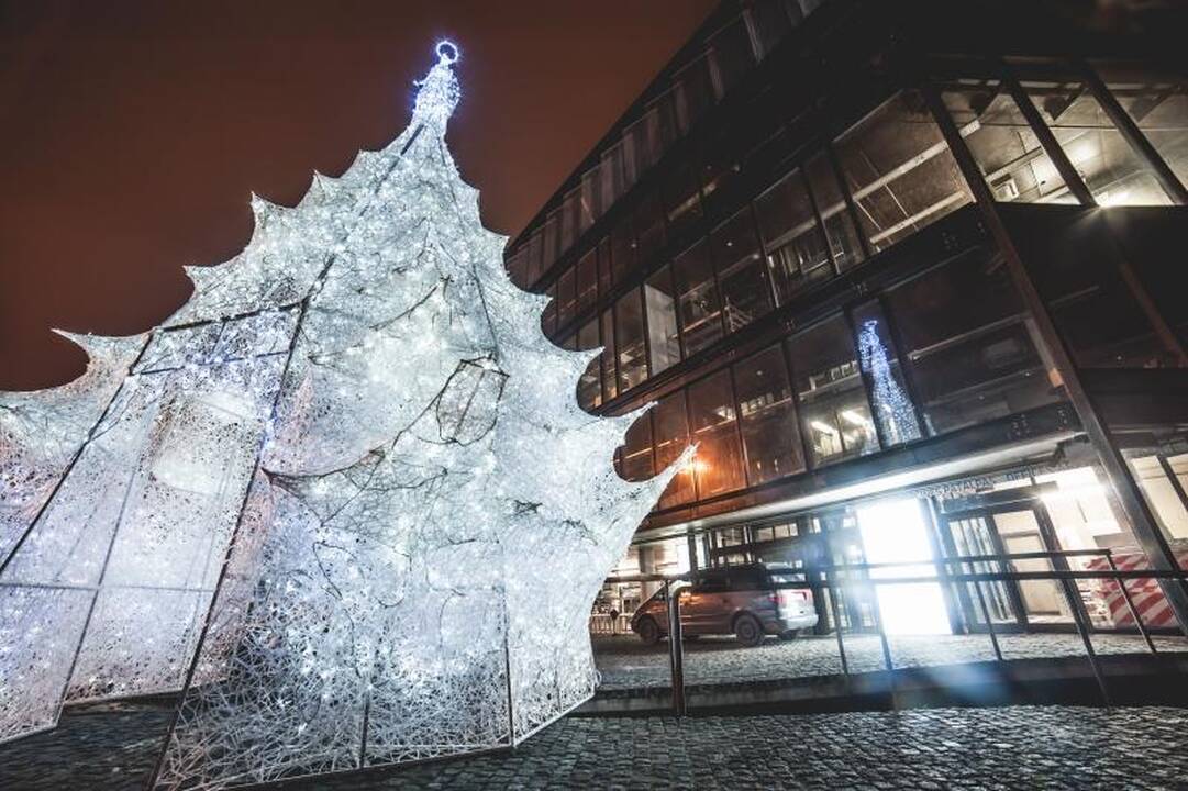 Prie „Žalgirio“ arenos įžiebta pirmoji Kalėdų eglė Kaune