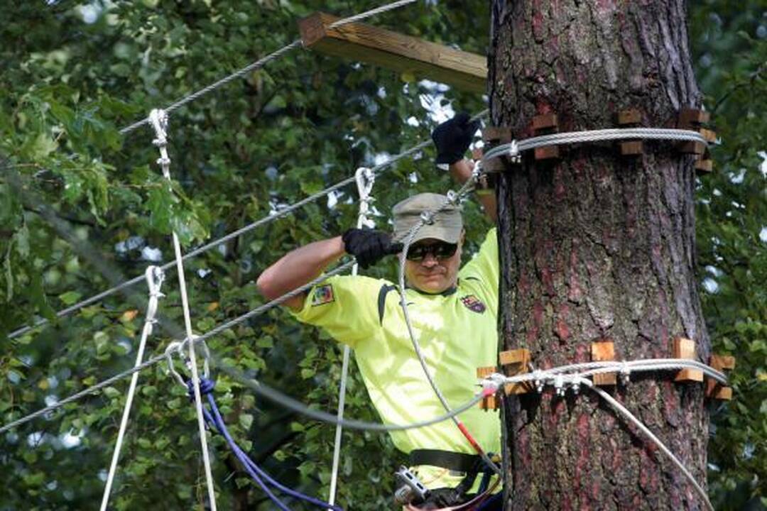 Serialo "Drąsos kaina" aktoriai savo drąsos koeficientą pasitikrino besikarstydami po medžius 
