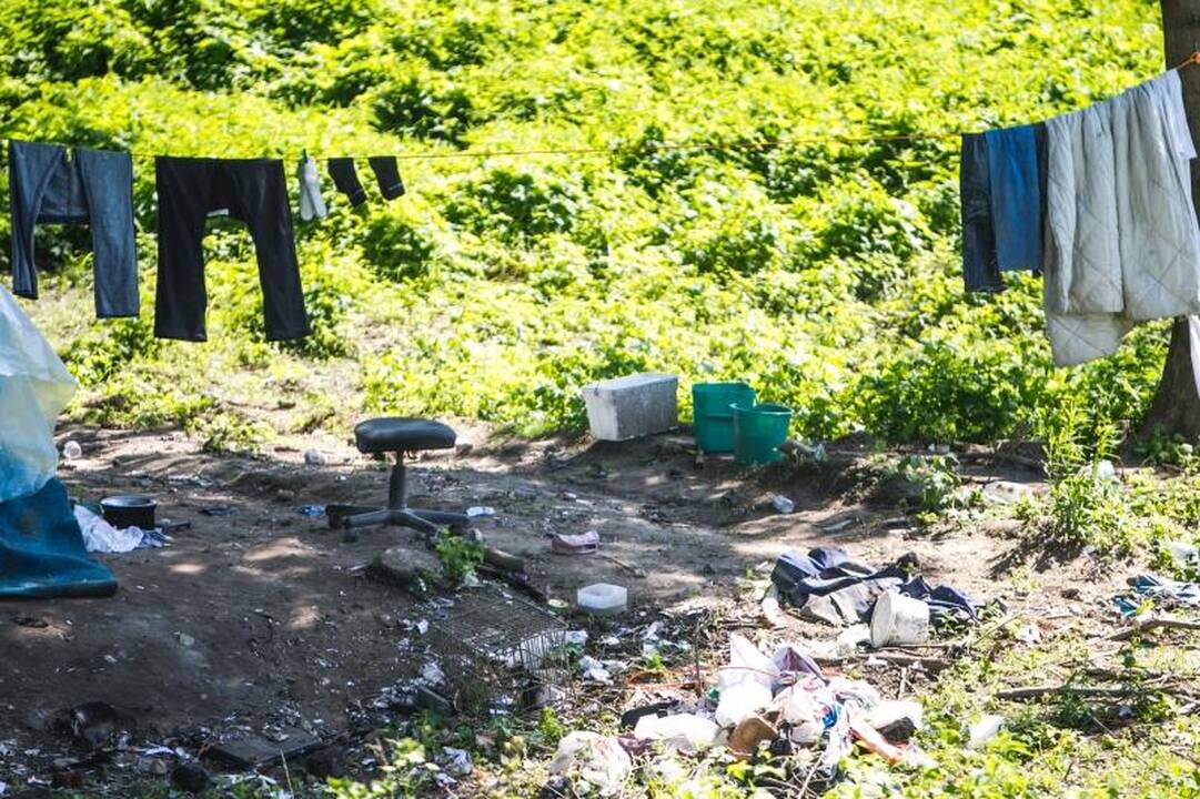 Prie Neries įsikūręs benamis: leiskit man numirti, kur aš noriu