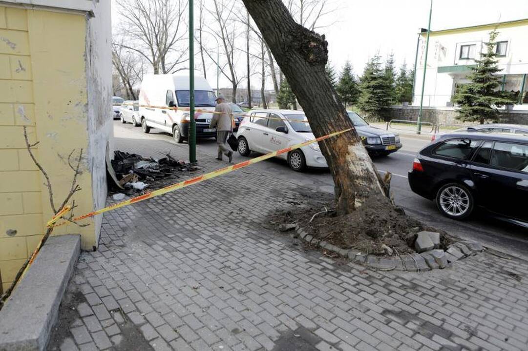 Nakties lenktynės Klaipėdoje baigėsi dviejų jaunuolių žūtimi (foto)