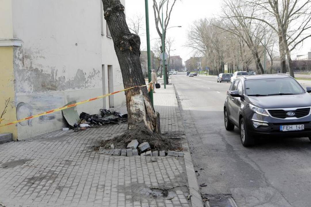 Nakties lenktynės Klaipėdoje baigėsi dviejų jaunuolių žūtimi (foto)