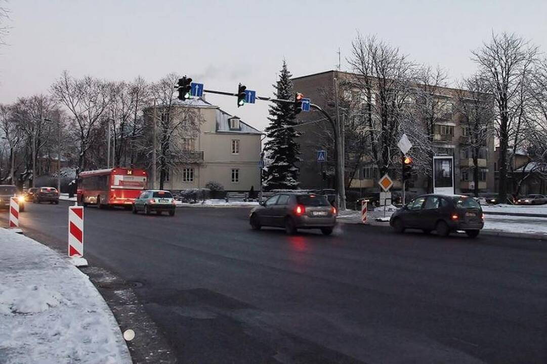 Klaipėdiečiai mieste pasodino medelių