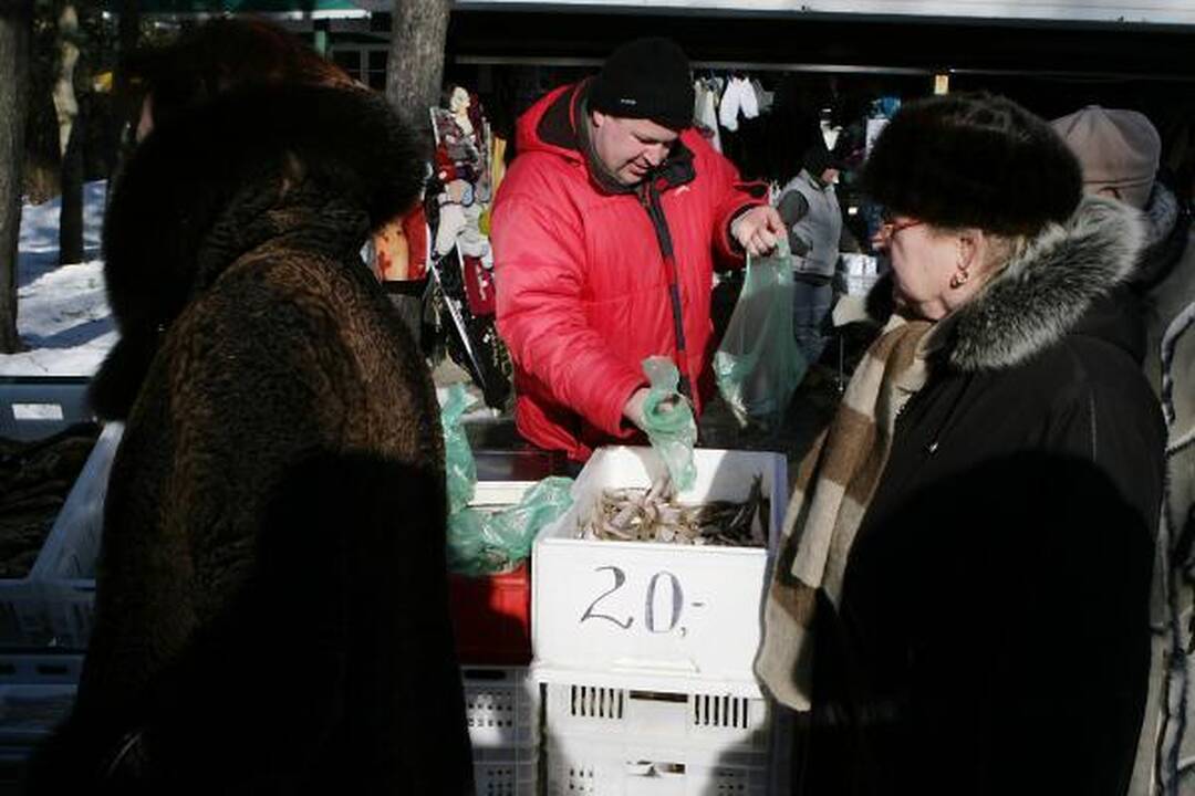 Palanga viliojo stintomis ir sveikuolių maudynėmis