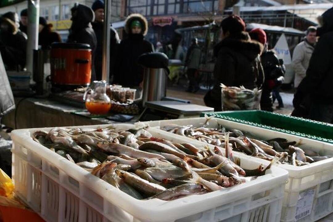 Palanga viliojo stintomis ir sveikuolių maudynėmis