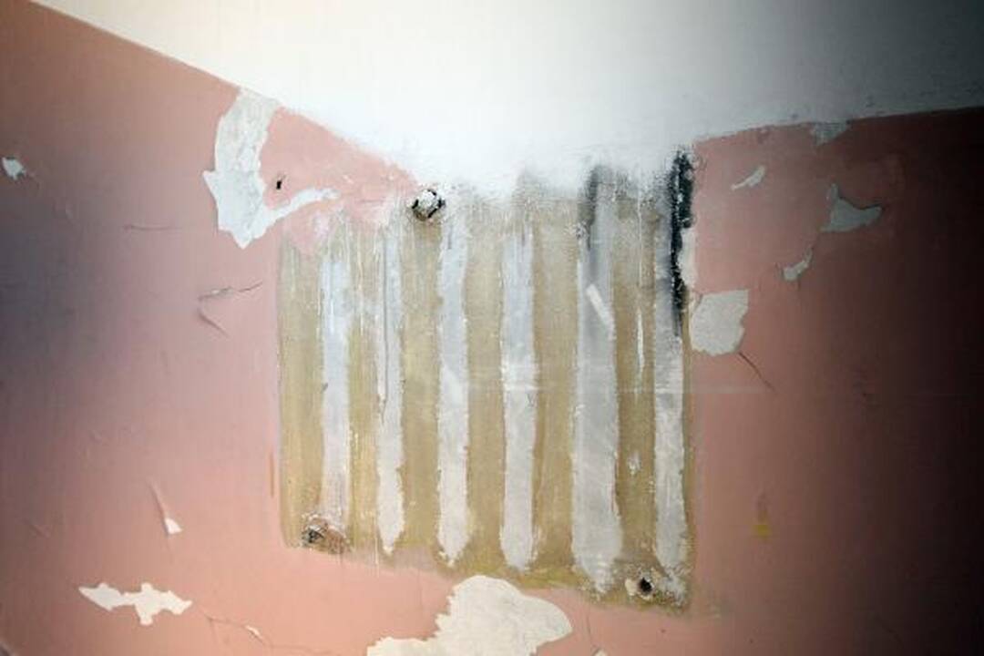 „Romuvą“ atsiėmė. Kas toliau? (papildyta)