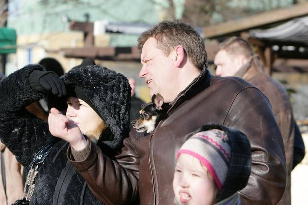 Palanga viliojo stintomis ir sveikuolių maudynėmis