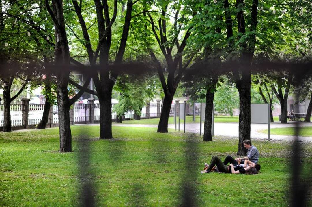 Visą dieną Kaunas pulsuoja muzikos ritmu