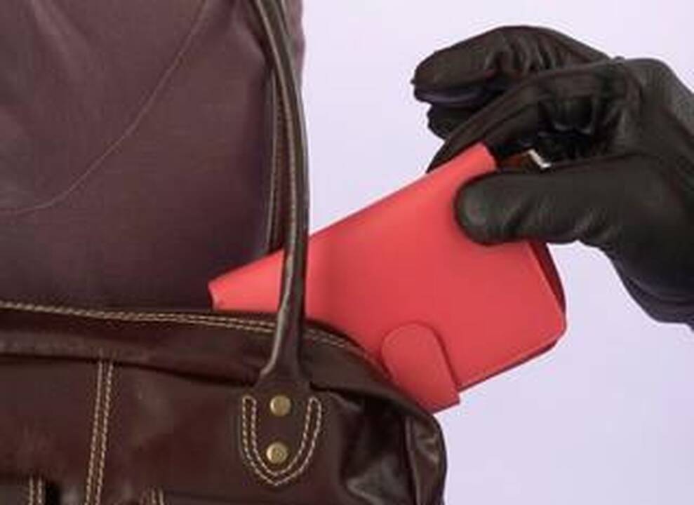 Klaipėdoje Joniškės kapinėse perspėja saugotis jauno vagies