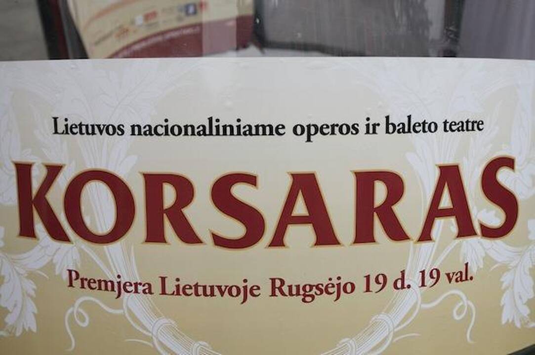 Vilniaus gatvėse – puantai ir balerinų šypsenos