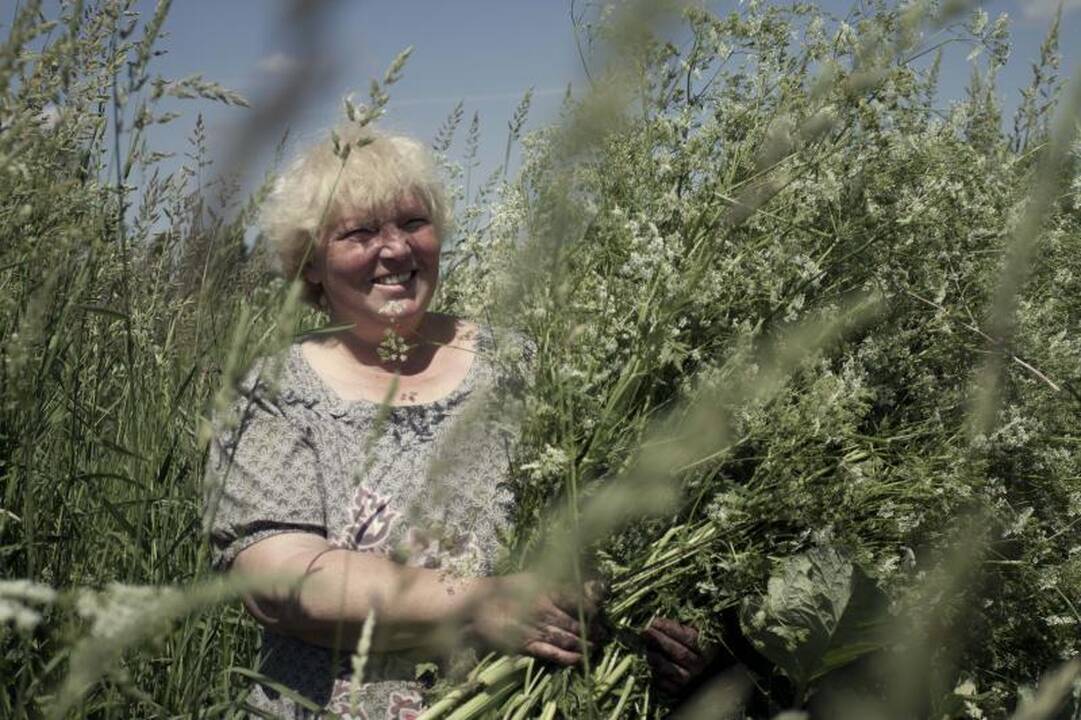 Gerumą žadins Kalėdų labdaros mugė