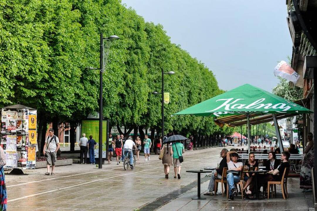 Visą dieną Kaunas pulsuoja muzikos ritmu