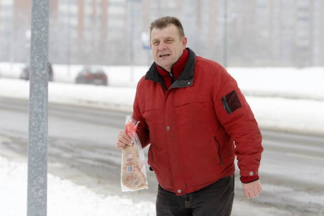 Uostamiestyje - gulbės gelbėjimo operacija