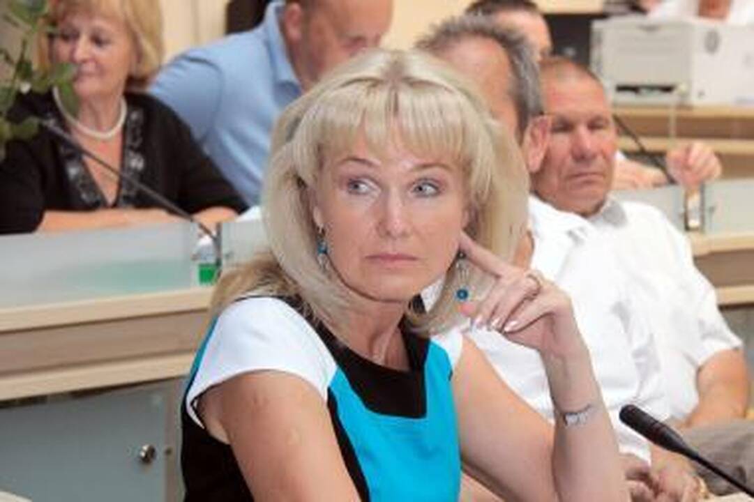 Mero pavaduotojai pasiskirstys veiklos sritis