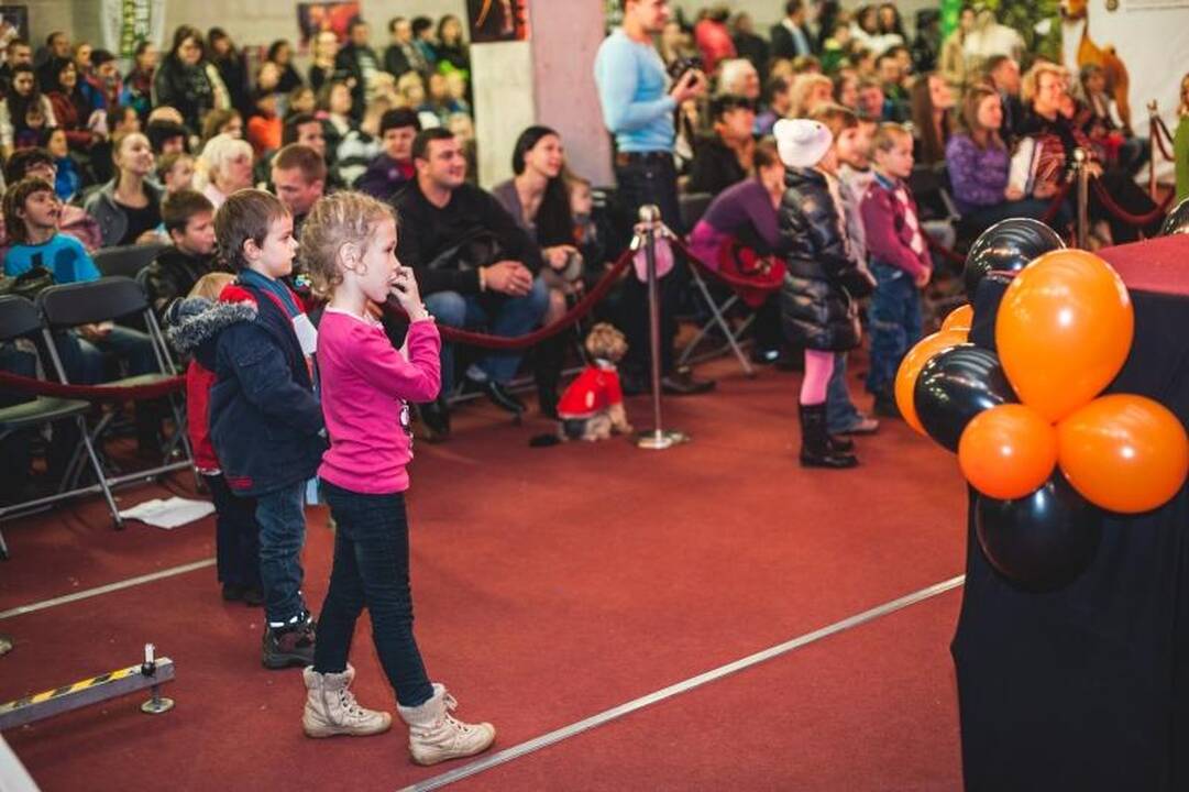 Helovino kostiumų konkurse dominavo šunys-velniai